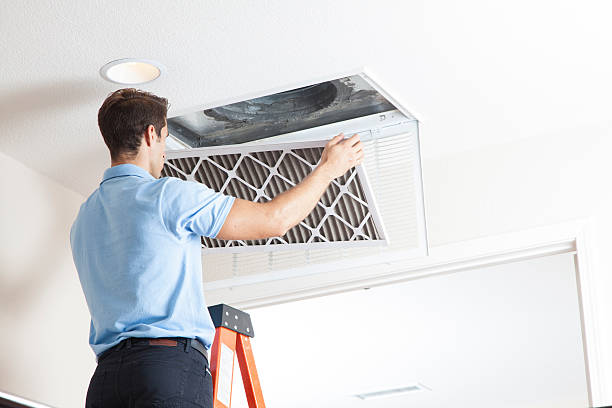 Best Air Filters and Purifiers in West Lealman, FL